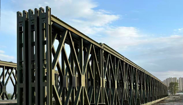 Bailey Bridge-projektet